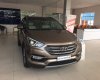 Hyundai Santa Fe 2016 - Bán Hyundai Santa Fe đời 2016, màu nâu LH 0939.593.770
