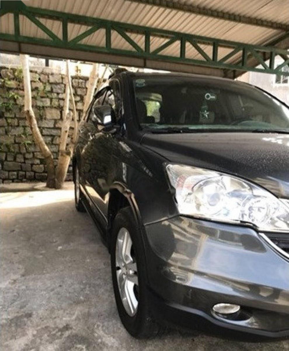 Honda CR V 2.4 AT 2010 - Bán Honda CR V 2.4 AT đời 2010, màu xám