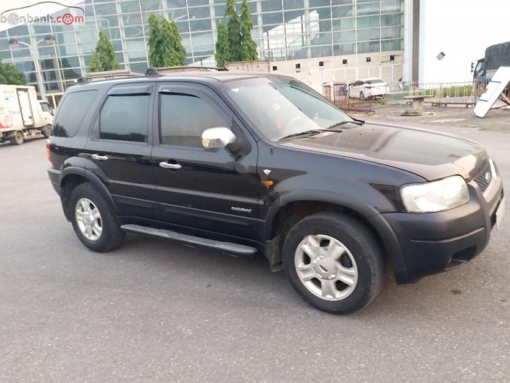 Ford Escape XLT 2004 - Bán Ford Escape XLT sản xuất 2004, màu đen 