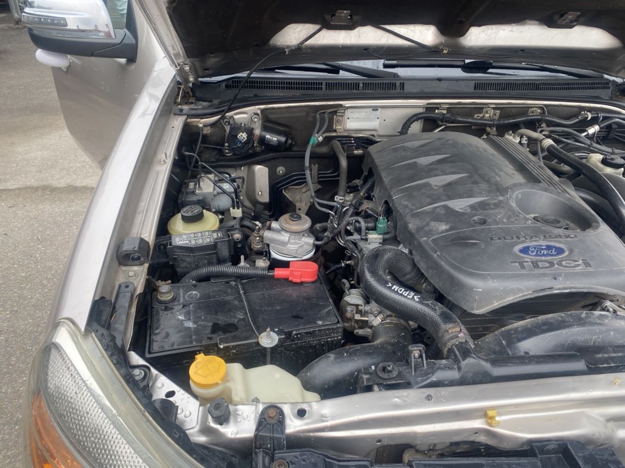 Ford Everest 2011 - Giá 420tr