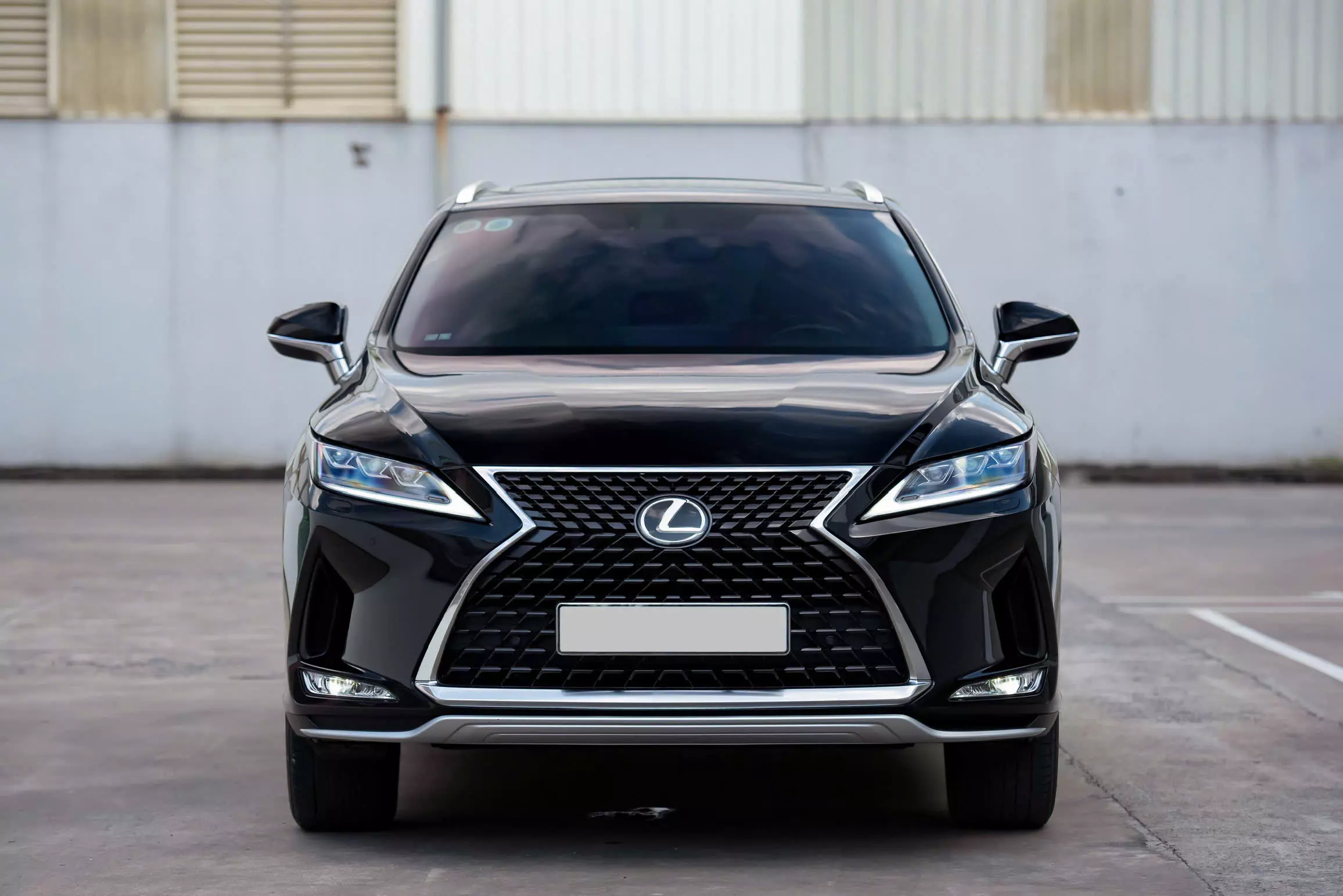 Lexus RX 300 2019 - Cần bán xe Lexus RX 300 đời 2019, màu đen, nhập khẩu