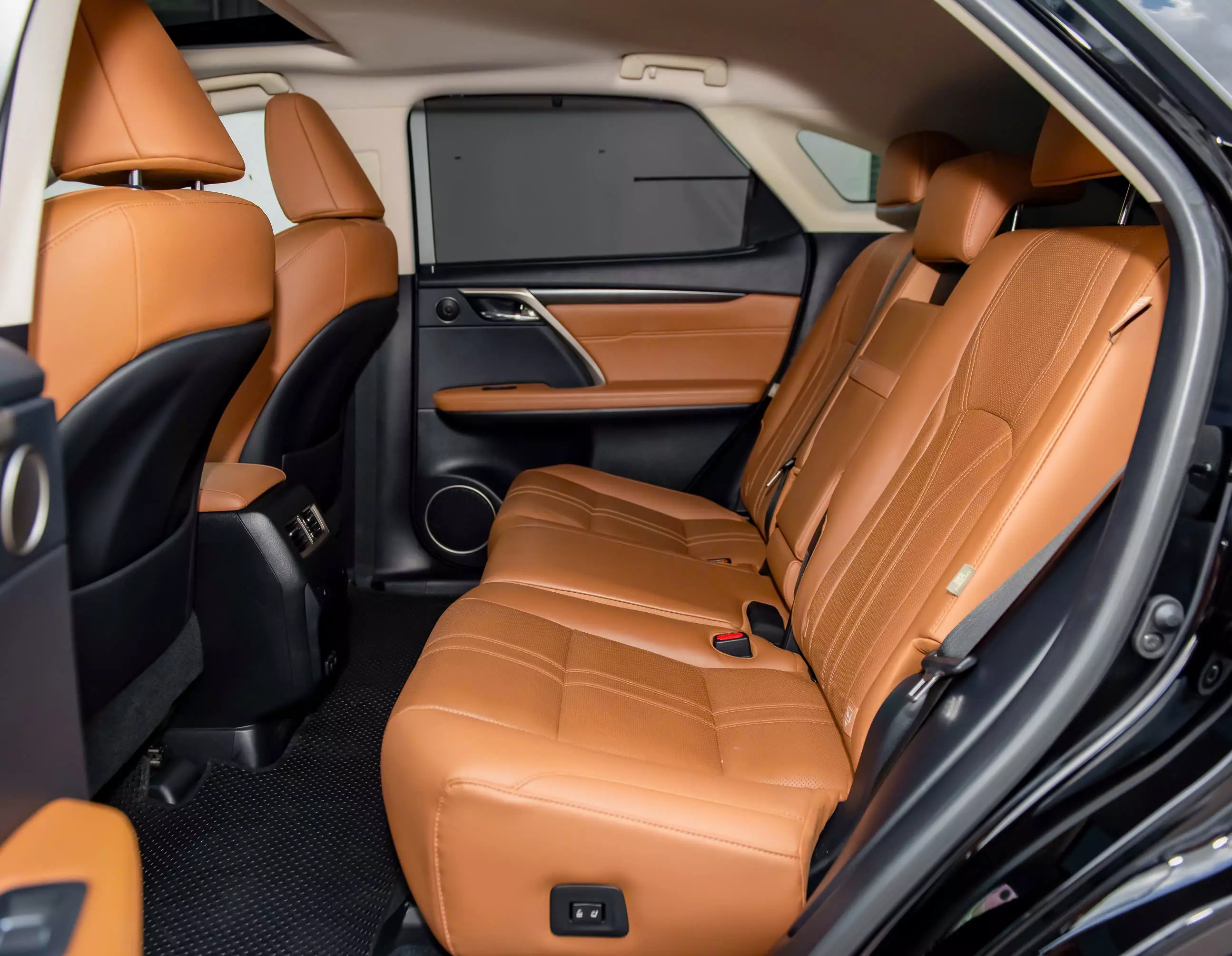 Lexus RX 300 2019 - Cần bán xe Lexus RX 300 đời 2019, màu đen, nhập khẩu