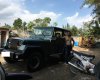 Jeep Wrangler 1995 - Cần bán xe Jeep Wrangler đời 1995, màu xanh lục
