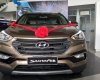 Hyundai Santa Fe 2016 - Bán Hyundai Santa Fe đời 2016