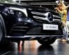 Mercedes-Benz GLC 300 2016 - Mercedes-Benz GLC 300 giao sớm nhất toàn quốc