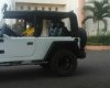 Jeep CJ 1986 - Bán Jeep CJ đời 1986, nhập khẩu, giá chỉ 195 triệu