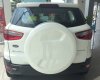 Ford EcoSport Titatium 2016 - Bán ô tô Ford EcoSport Titatium đời 2017, mầu trắng, LH 0933523838