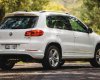 Volkswagen Tiguan 2016 - Cần bán xe Volkswagen Tiguan  2.0l đời 2016, màu trắng, nhập khẩu