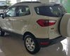 Ford EcoSport Titatium 2016 - Cần bán xe Ford EcoSport Titatium 2016, màu trắng, giá tốt