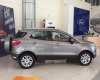 Ford EcoSport Titanium 2017 - Đại lý xe Ford: Bán Ford EcoSport Titanium sản xuất 2017, màu xám (ghi), L/H: 0963483132
