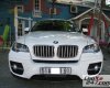 BMW X6 2010 - BMW X6 2010