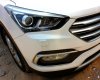 Hyundai Santa Fe 2016 - Ninh Thuận: Bán Hyundai Santa Fe full 2016_ Gía tốt nhất. LH 01202787691