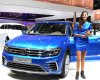 Volkswagen Tiguan GP 2016 - Volkswagen Tiguan 2.0 TSI 4 Motion 2016, màu xanh lam, nhập khẩu Đức. Tặng 209 triệu - LH Hương 0902608293