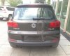 Volkswagen Tiguan 2016 - Bán xe Volkswagen Tiguan sản xuất 2016, màu nâu, nhập khẩu, lh: 0978877754-0931416628
