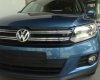 Volkswagen Tiguan 2016 - Bán Volkswagen Tiguan năm 2016, màu xanh lam, nhập khẩu chính hãng. LH 0931416628 nhận giá tốt