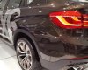 BMW X6 2016 - Cần bán xe BMW X6 đời 2017, màu nâu, nhập khẩu chính hãng tại miền Trung