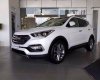 Hyundai Santa Fe 2016 - Bán xe Hyundai Santa Fe 2016, màu trắng, giá tốt - liên hệ 0939593770