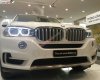 BMW X5 2016 - Cần bán BMW X5 đời 2016, màu trắng, nhập khẩu nguyên chiếc