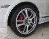 Porsche Carrera GT 2008 - Bán xe Porsche Cayenne GTS sản xuất 2008, màu trắng, nhập khẩu