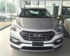 Hyundai Santa Fe   2016 - Bán ô tô Hyundai Santa Fe đời 2016, màu bạc