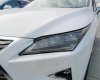 Lexus RX350  V6 AT 2016 - Cần bán Lexus RX 350 V6 AT đời 2016, màu trắng, xe nhập