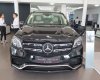 Mercedes-Benz GLS 63 AMG 2016 - Bán xe Mercedes GLS 63 AMG đời 2016, màu đen, xe nhập