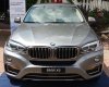 BMW X6 2016 - Cần bán xe BMW X6 đời 2017, màu nâu, nhập khẩu chính hãng, giá mềm, tặng trước bạ