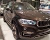 BMW X6 2016 - Cần bán xe BMW X6 đời 2017, màu nâu, nhập khẩu chính hãng, giá mềm, tặng trước bạ