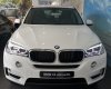 BMW X5 2016 - Cần bán BMW X5 đời 2017 nhập khẩu chính hãng, giá rẻ nhất miền Trung