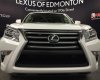 Lexus GX460 Luxury  2016 - Cần bán Lexus GX460 Luxury 2016, màu trắng, nhập khẩu chính hãng