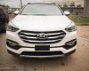 Hyundai Santa Fe 2017 - Ninh Thuận: Bán Hyundai Santa Fe full 2017, giá tốt nhất - LH 01202787691