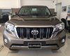 Toyota Prado 2.7 2017 - Toyota Prado 2.7 mới 2017 nhập khẩu chính hãng, xe giao sớm