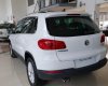 Volkswagen Tiguan   2.0 TSI   2016 - Bán Volkswagen Tiguan 2.0 TSI sản xuất 2016, màu trắng