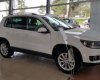 Volkswagen Tiguan   2.0 TSI   2016 - Bán Volkswagen Tiguan 2.0 TSI sản xuất 2016, màu trắng
