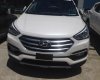 Hyundai Santa Fe 2016 - Bán Hyundai Santa Fe 2016, màu trắng, LH 0939.593.770