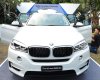 BMW X5 2017 - Cần bán xe BMW X5 2017, nhập khẩu, tặng trước bạ khủng