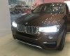 BMW X4 2017 - Bán xe BMW X4 2017, màu nâu, nhập khẩu nguyên chiếc, ưu đãi lớn dịp khai trương