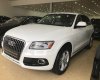 Audi Q5 2017 - Bán Audi Q5 xe nhập khẩu Mỹ, full hết đồ, giao xe ngay