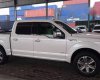 Ford F 150   Platinum 2015 - Bán Ford F 150 Platinum đời 2015, nhập khẩu nguyên chiếc