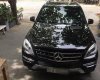 Mercedes-Benz ML Class   2013 - Bán ô tô Mercedes ML250  đời 2013, màu đen, nhập khẩu chính hãng