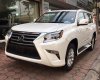 Lexus GX 460 Premium 2016 - Bán xe Lexus GX460 2016 nhập khẩu Mỹ mới 100%. LH 093.798.2266