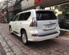 Lexus GX 460 Premium 2016 - Bán xe Lexus GX460 2016 nhập khẩu Mỹ mới 100%. LH 093.798.2266