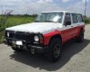 Nissan Patrol 1994 - Bán xe Nissan Patrol 1994, màu trắng, nhập khẩu