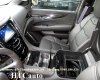 Cadillac Escalade Platium 2015 - Xe Cadillac Escalade Platium model 2016, màu đen