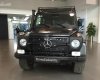 Mercedes-Benz G class 300 CDI 2015 - Bán Mercedes G300 CDI 2015 chạy cực ít giá tốt