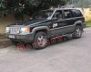 Jeep Grand Cheroke 1994 - Bán Jeep Grand Cheroke đời 1994, màu xanh lục, nhập khẩu nguyên chiếc số sàn, 225 triệu