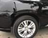 Lexus RX450 h 2009 - Cần bán gấp Lexus RX450h đời 2009, màu đen chính chủ