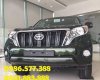 Toyota Land Cruiser   2017 - Bán Toyota Land Cruiser đời 2017, màu đen, nhập khẩu nguyên chiếc