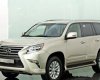 Lexus GX460  4.6L AT 2017 - Lexus Trung Tâm Sài Gòn cần bán xe Lexus GX460 4.6L AT sản xuất 2017, xe nhập