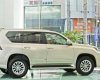 Lexus GX460  4.6L AT 2017 - Lexus Trung Tâm Sài Gòn cần bán xe Lexus GX460 4.6L AT sản xuất 2017, xe nhập